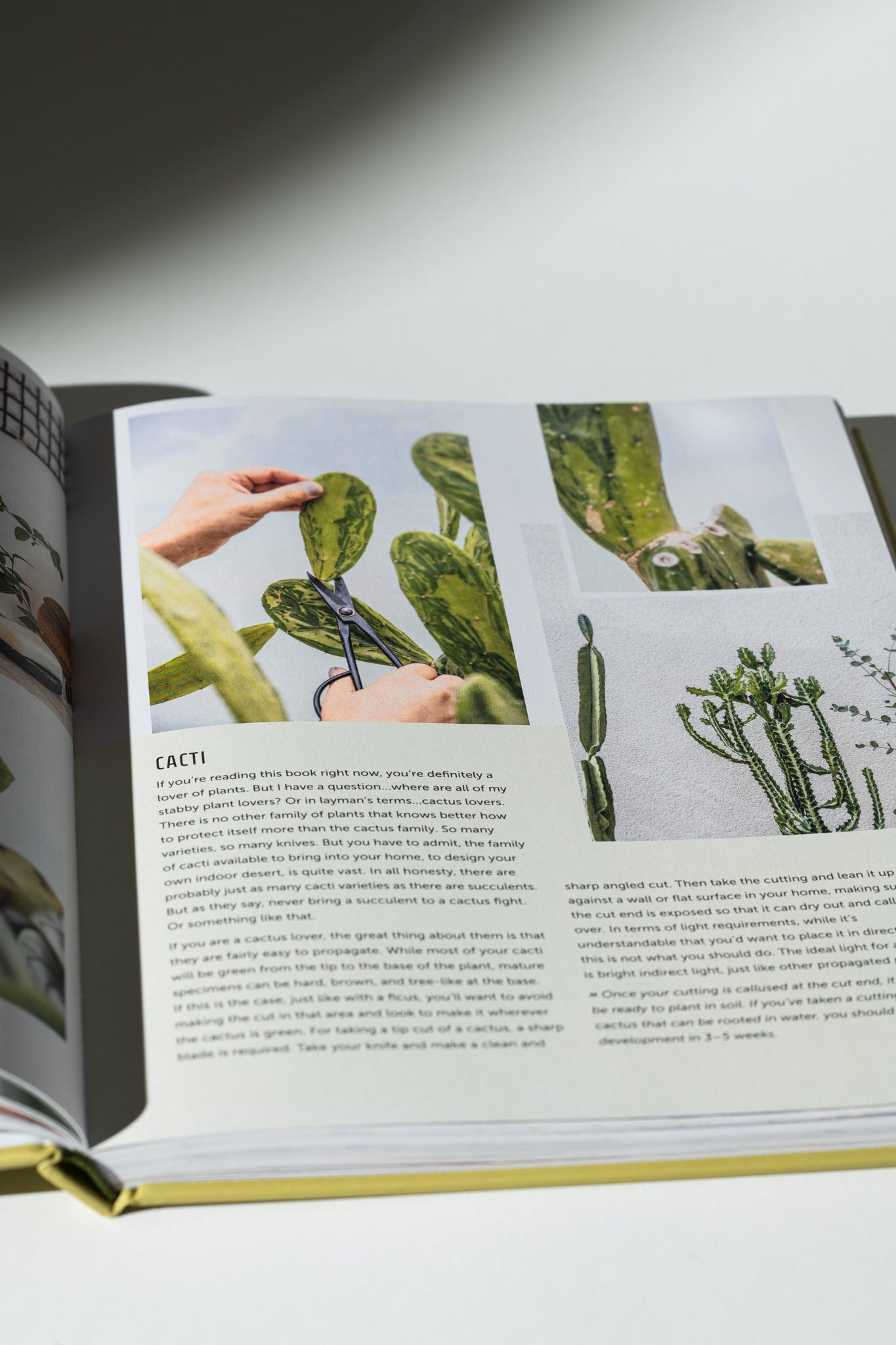 Propagation Handbook (Signed)