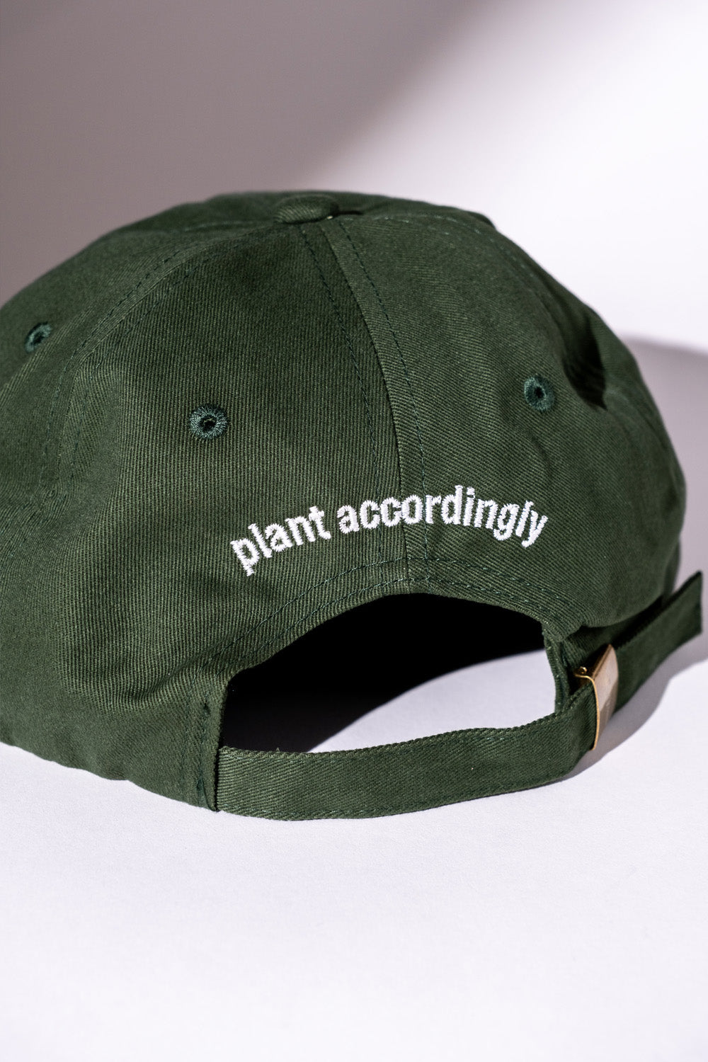 Plant Accordingly Brushed Cotton Hat