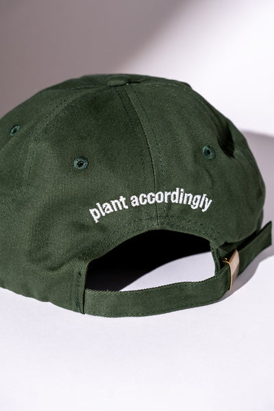 Plant Accordingly Brushed Cotton Hat – Things by HC